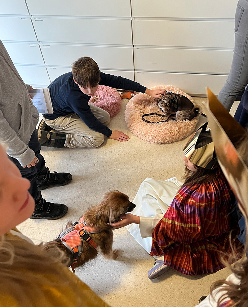 Die Klasse 5 im Pflegeheim Kursana Domizil Pullach 2