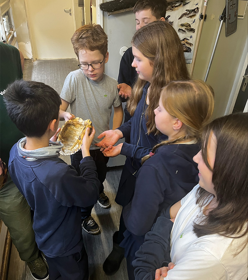 Lebendiger Biologieunterricht